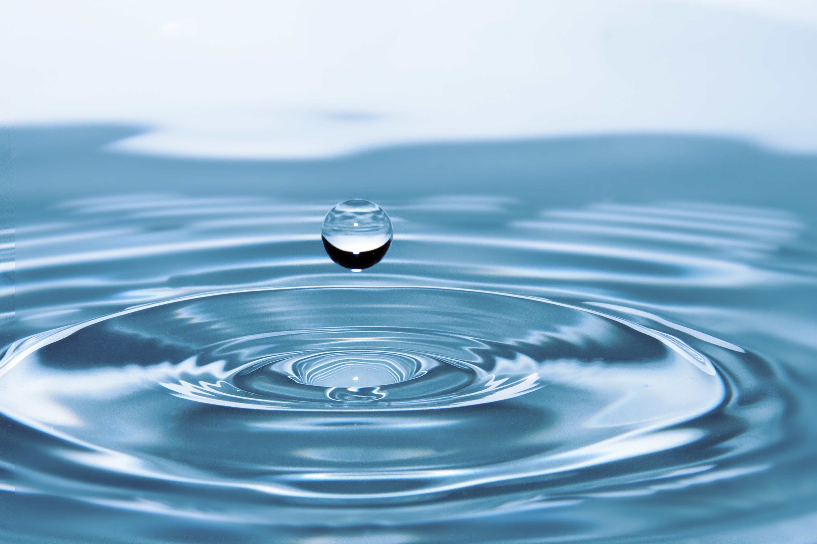 Swiss water® for decaf coffee
